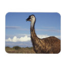 Recherche de oiseau exotique magnets Faune