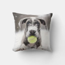 Suche nach great dane welpe Liebe