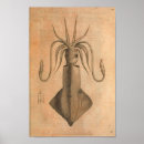 Suche nach kopffüßer poster Ozeane