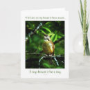 Suche nach singvogel karten Natur
