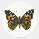Suche nach gemalt aufkleber Schmetterling
