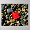 Suche nach ahornblatt poster Superstock