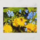 Recherche de pissenlit cartes postales Floral