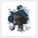 Suche nach lustiges gesicht aufkleber Hund