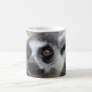Suche nach ring angebundener lemur tassen Madagaskar