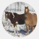 Suche nach pferde und schnee aufkleber Stehend