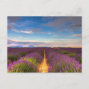 Recherche de valensole cartes postales France