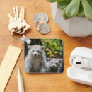 Suche nach verstecken accessoires Tierwelt
