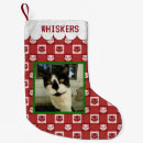 Recherche de noël de chat Cats