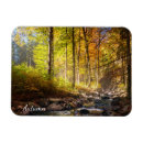 Suche nach schön magnete Bäume