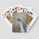Recherche de paon jeux de cartes Nature