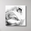 Recherche de deux oiseaux art Couple