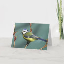 Suche nach lieder karten Vogel