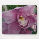 Suche nach orchidee mousepads Lila