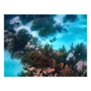 Recherche de plongeurs posters Sous la mer