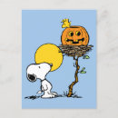 Suche nach kürbislaterne postkarten Herbst