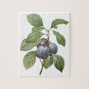 Suche nach obstbaum puzzle Natur