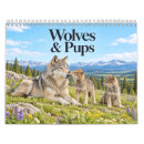 Recherche de loups calendriers Meute de loups