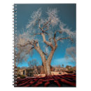 Suche nach baum notizbuch Fotografie
