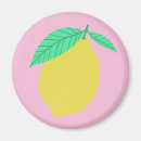 Suche nach zitrusfrucht magnete Gesund