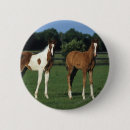 Suche nach araber buttons Stehend