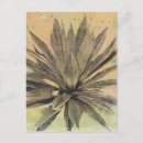 Recherche de plante verte cartes postales Botanique