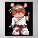 Suche nach jiu jitsu poster Kämpfer