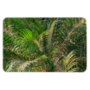 Recherche de tropiques magnets Tropical