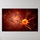Recherche de neurones posters Médical