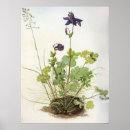 Recherche de blume posters Fleur