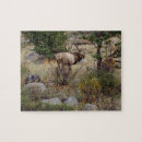 Suche nach stiere puzzle Elche