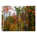 Recherche de forêts posters Automne
