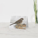 Recherche de plateau vœux cartes Blanc