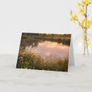 Recherche de apaisant vœux cartes Fleurs sauvages