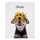 Recherche de animaux portraits Animal