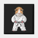 Suche nach taekwondo magnete Karussegment