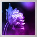 Suche nach helle blumen poster Botanisch
