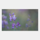 Recherche de lupin autocollants Flore
