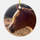 Suche nach arabisch ornamente Pferd