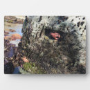 Suche nach röcke fotoplatten Ozean