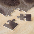 Recherche de fossiles puzzles Pierre