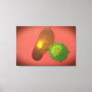 Suche nach zelle leinwandbilder Biomedizinische illustrationen