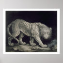 Recherche de sanglier posters Animaux