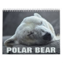 Suche nach bear kalender Wild lebende tiere