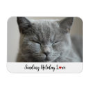Recherche de amour de chat magnets Cats