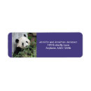 Recherche de chengdu Ours