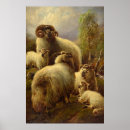 Suche nach sheep poster Antike