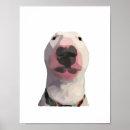 Suche nach gesicht meme poster Cartoon