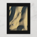 Suche nach schatten postkarten Fotografie