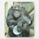 Suche nach lustiger schimpanse mousepads Tiere